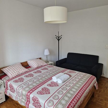Room In Shared Apartment Женева Екстер'єр фото