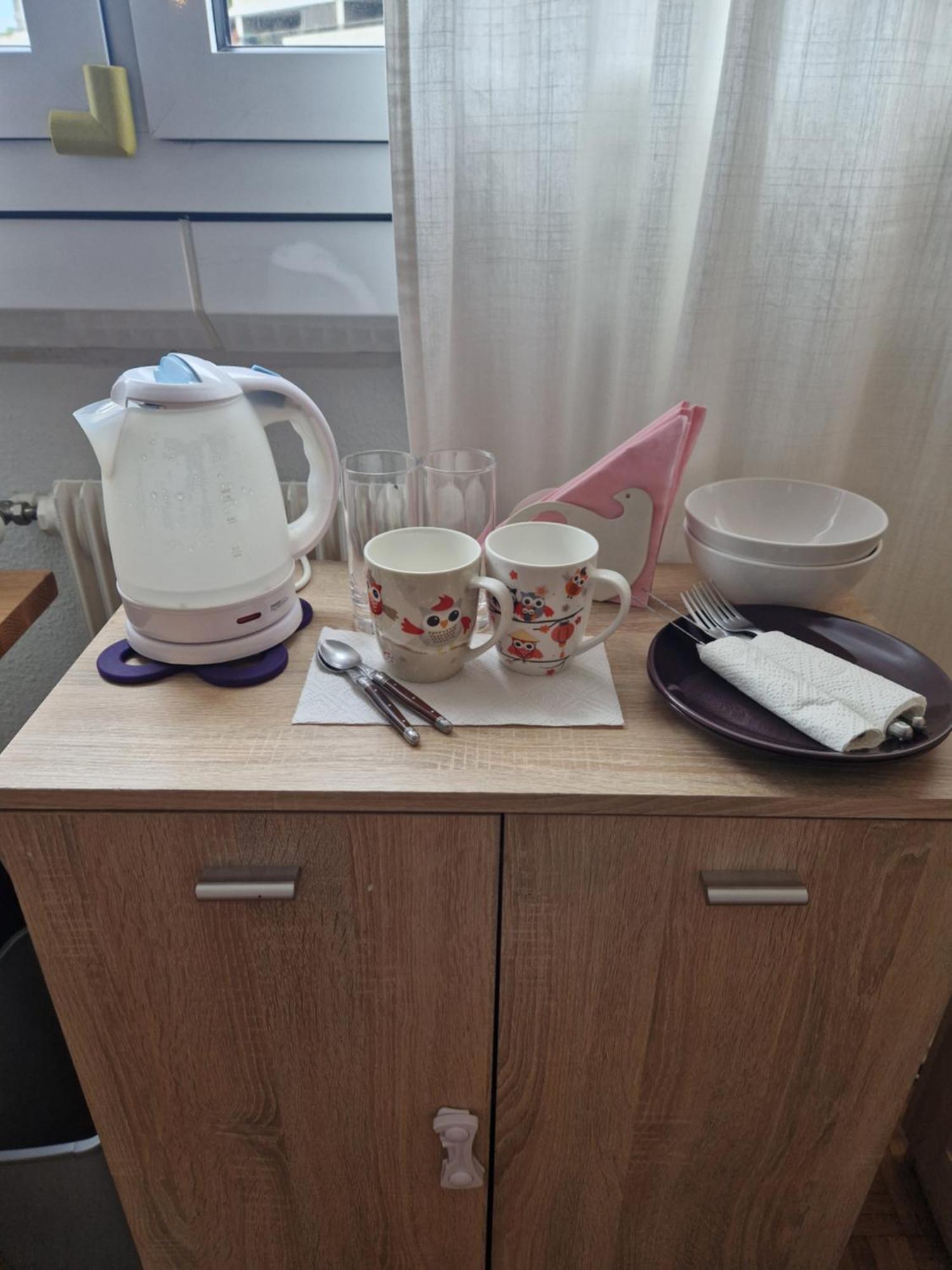 Room In Shared Apartment Женева Екстер'єр фото